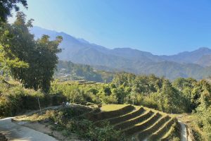Sapa