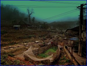 Sapa